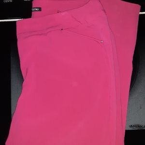 Roz & Ali Pants Size 22